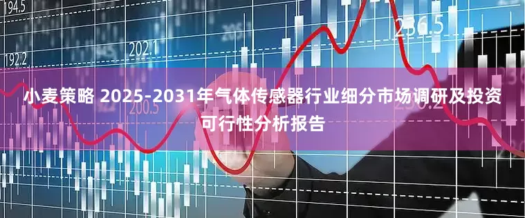 小麦策略 2025-2031年气体传感器行业细分市场调研及投资可行性分析报告